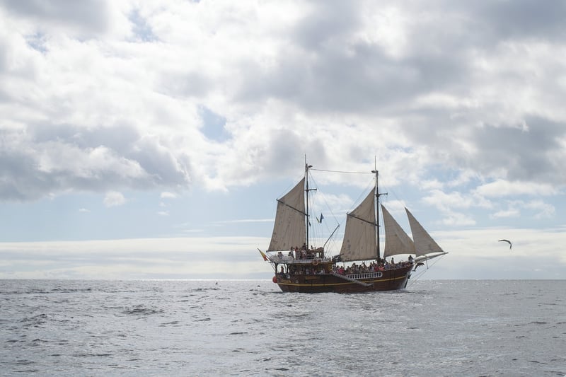 Sea Adventure