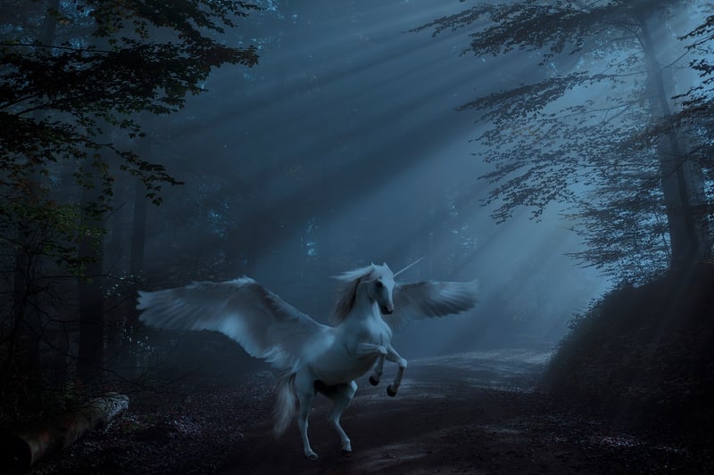 Unicorn Image